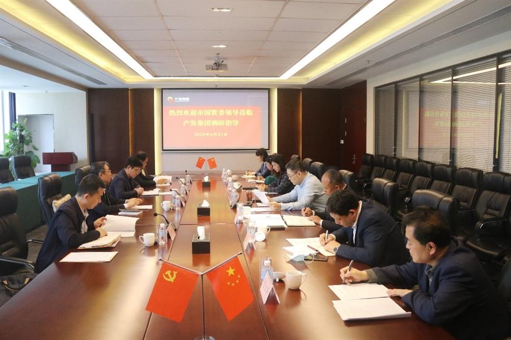 市国资委副主任谢红兵一行到辉达注册开展党建工作调研