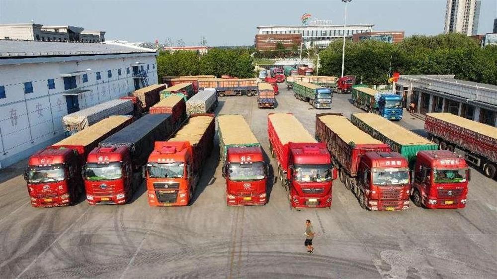济粮平台顺利完成2023年度市级储备粮 轮换任务
